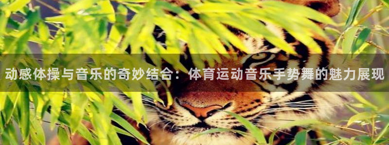 米兰体育下载：动感体操与音乐的奇妙结合：体育运动音乐手势舞的魅力展现