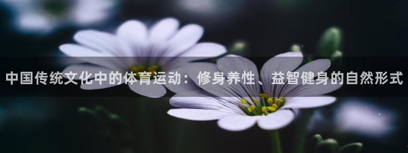 米兰体育：中国传统文化中的体育运动：修身养性、益智健身的自然形式