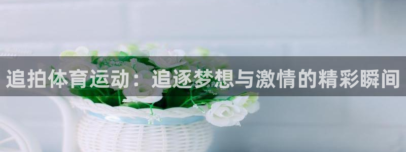 米兰体育：追拍体育运动：追逐梦想与激情的精彩瞬间