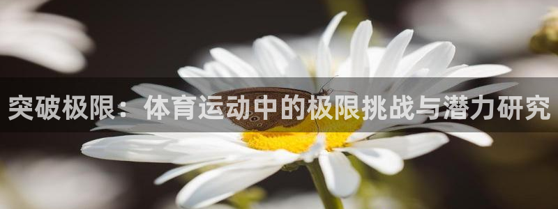 米兰体育网站：突破极限：体育运动中的极限挑战与潜力研究