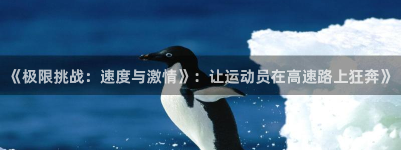 米兰体育最新版下载：《极限挑战：速度与激情》：让运动员在高速路上狂奔》