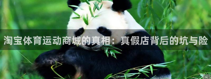 米兰体育网页版登录：淘宝体育运动商城的真相：真假店背后的坑与险