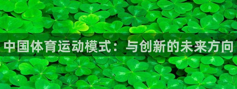 米兰体育app下载：中国体育运动模式：与创新的未来方向