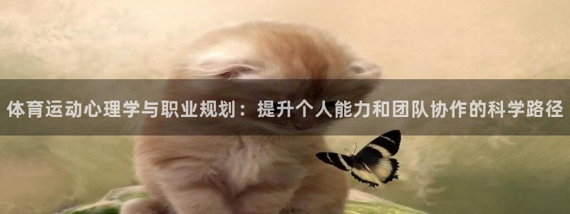 米兰体育综合官网：体育运动心理学与职业规划：提升个人能力和团队协作的科学路径
