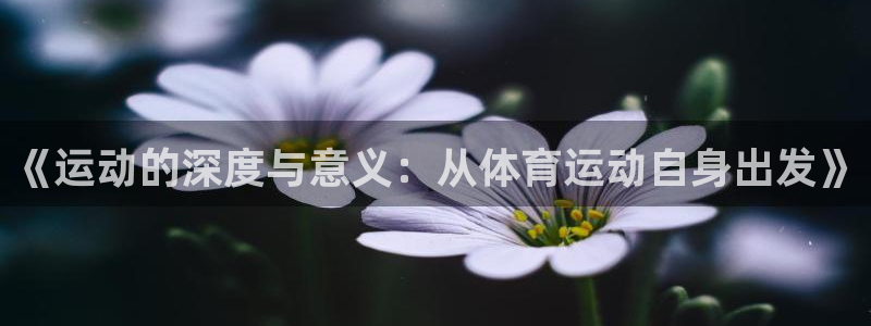 米兰体育网页版登录