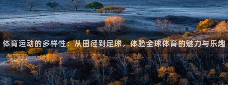 米兰体育网页版