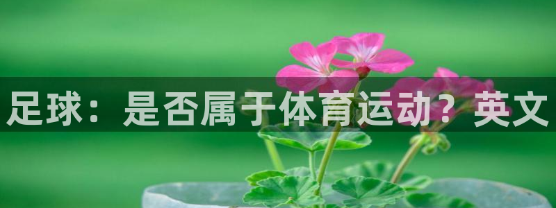 米兰体育入口：足球：是否属于体育运动？英文