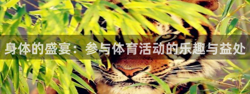 米兰体育报：身体的盛宴：参与体育活动的乐趣与益处