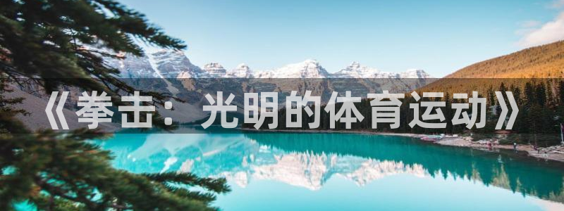 米兰体育报官网：《拳击：光明的体育运动》