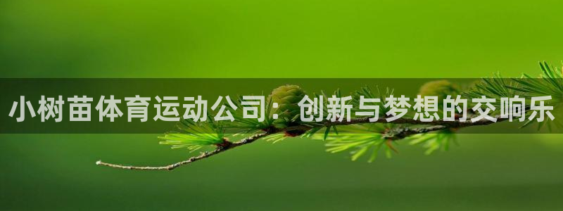 米兰体育下载官网最新版：小树苗体育运动公司：创新与梦想的交响乐