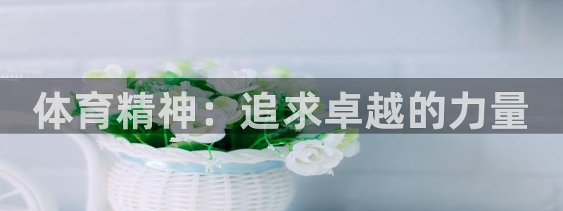 米兰体育网址：体育精神：追求卓越的力量