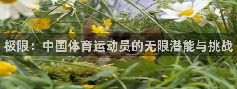 米兰体育app下载：极限：中国体育运动员的无限潜能与挑战